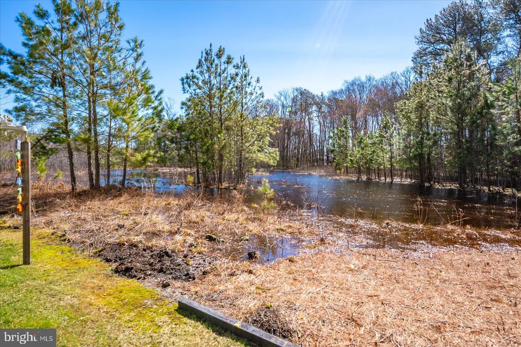 Additional image 65 of 38734 Soft Beach Circle, Selbyville, DE 19975