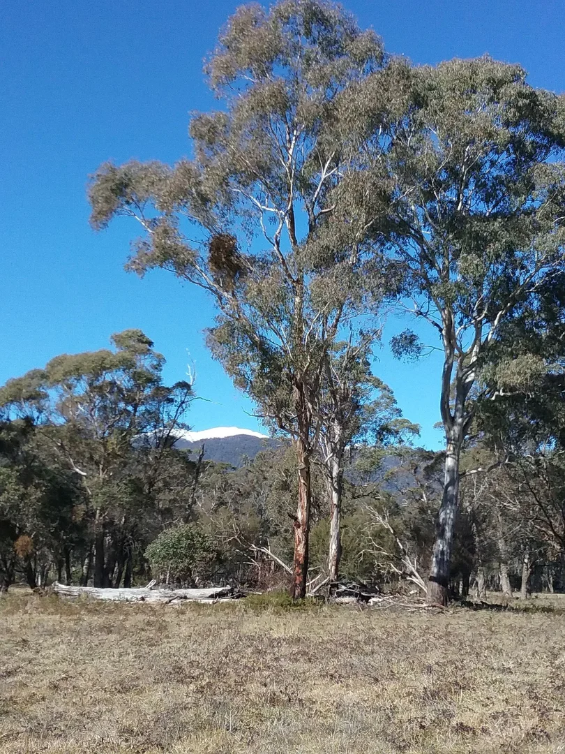 Additional image 16 of Smoko VIC 3741