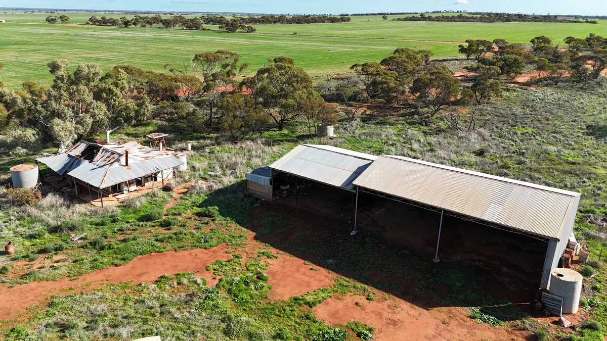 Additional image 9 of 697 Solomon Road, Perenjori WA 6620