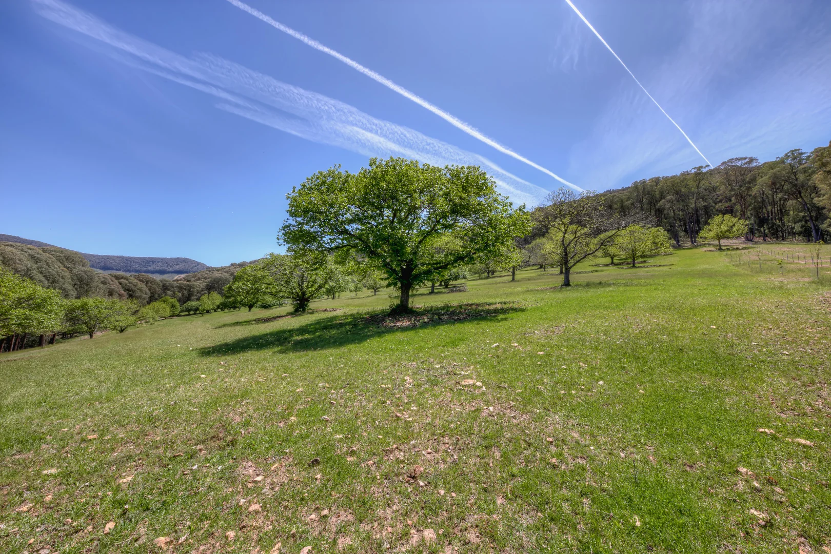 Additional image 11 of CA 34C Tobias Track, Wandiligong VIC 3744