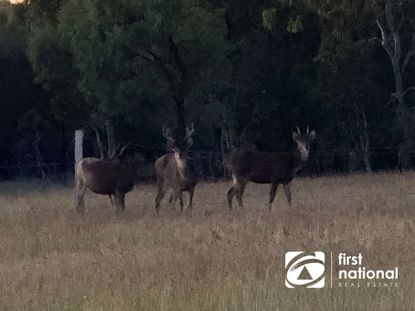 Additional image 29 of Quail Island, Stanage QLD 4702