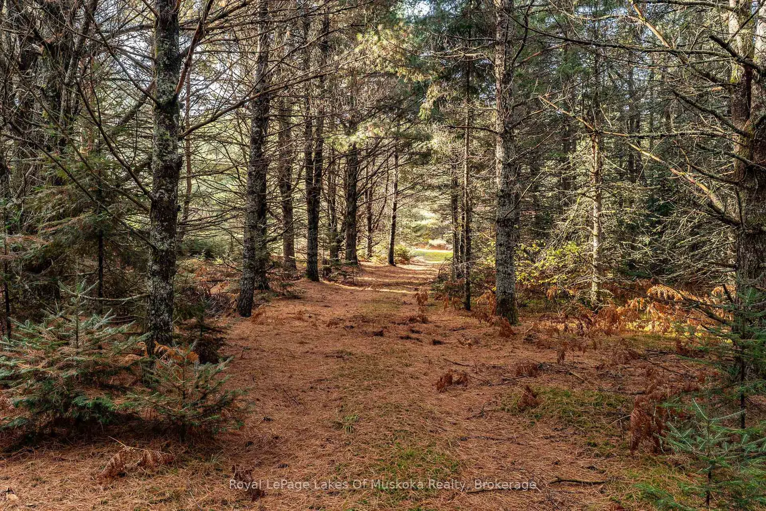 Additional image 12 of 267 & 321 Cardwell Lake Road