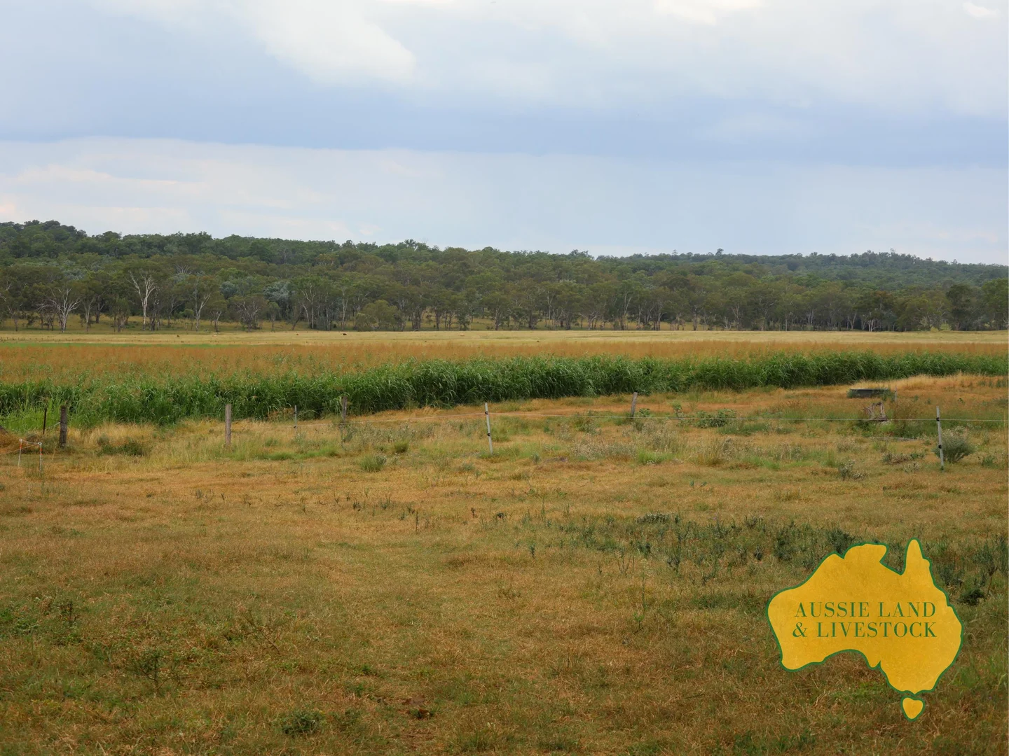 Additional image 64 of 629 Stuart Valley Drive, Haly Creek QLD 4610