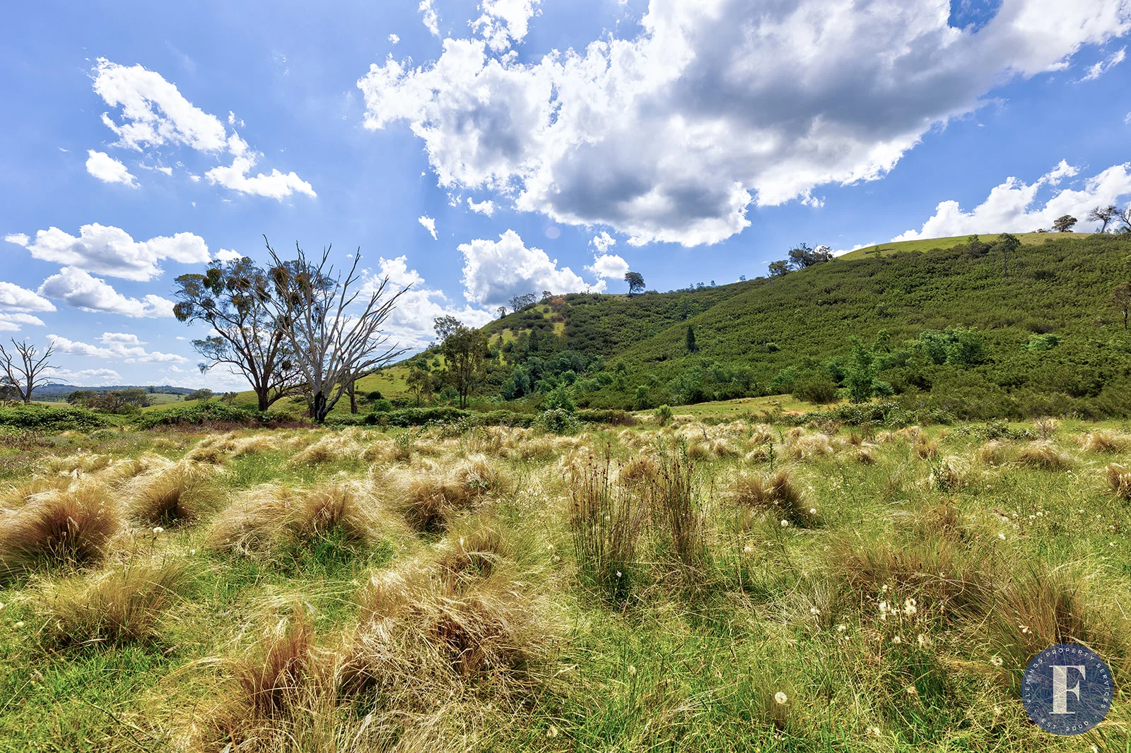 Additional image 7 of Lot 115 863 Taylors Flat Road, Taylors Flat NSW 2586