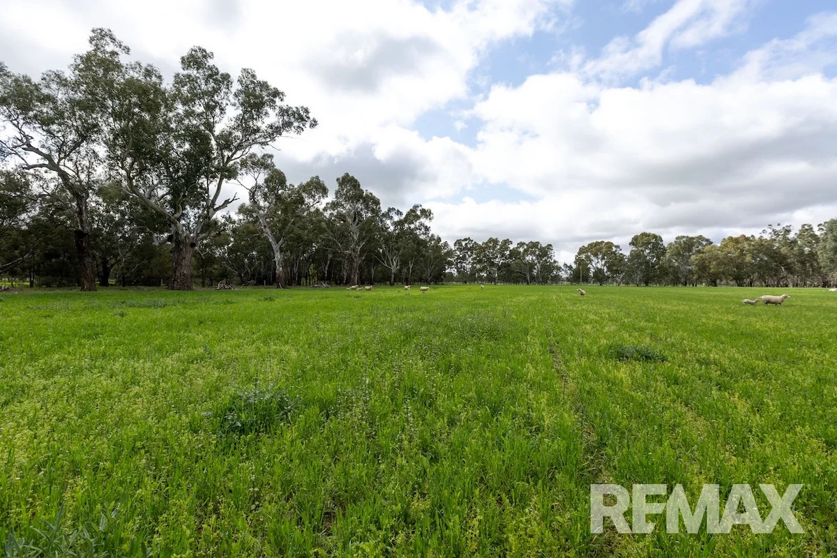 Additional image 3 of 192 Roach Road, Moorong NSW 2650