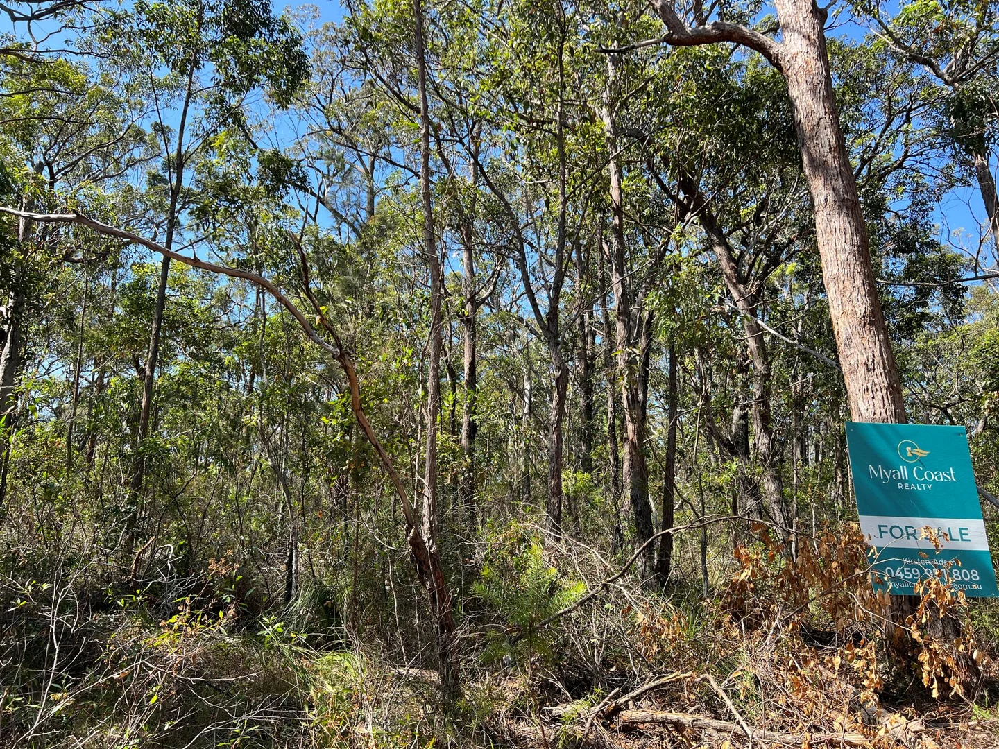 Additional image 4 of 2 Cachalot Street, Pindimar NSW 2324