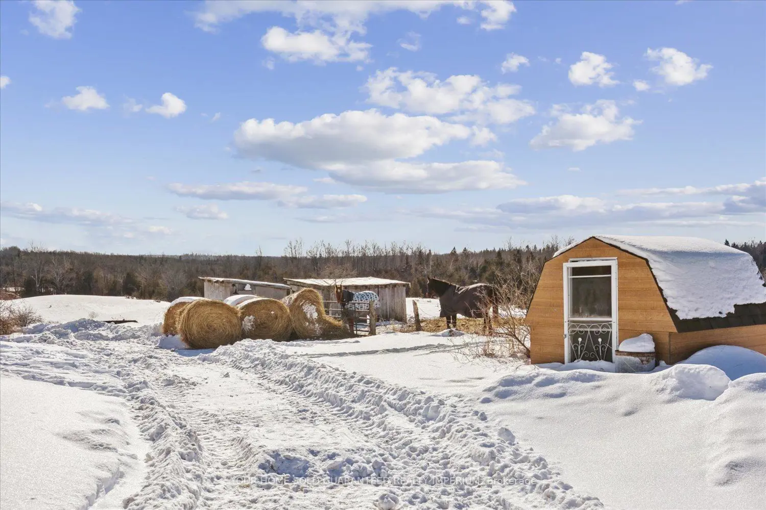 Additional image 8 of 217 Fairbairn Road