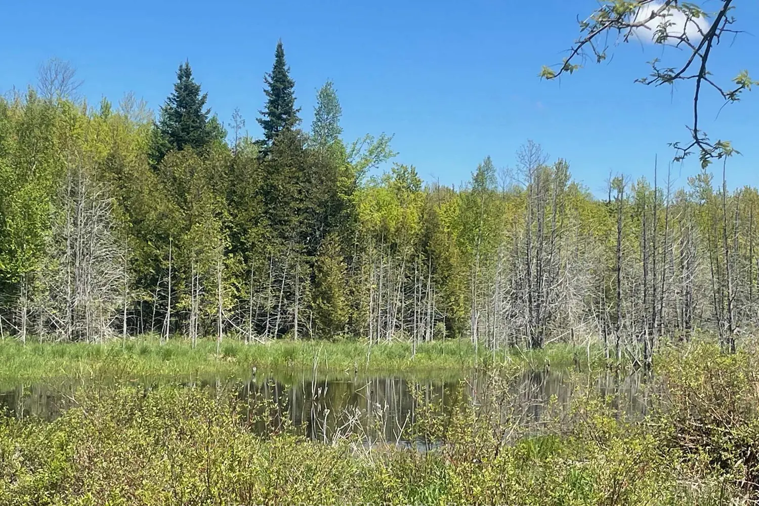 Additional image 14 of N/A Sunny Valley Road