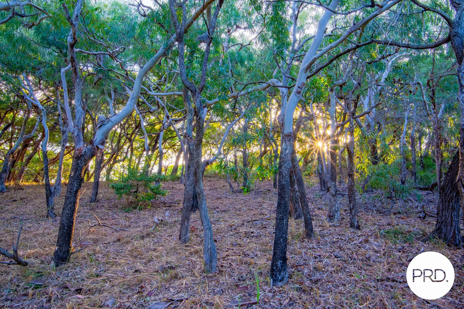 Additional image 24 of 127 Sunbird Avenue, Agnes Water QLD 4677