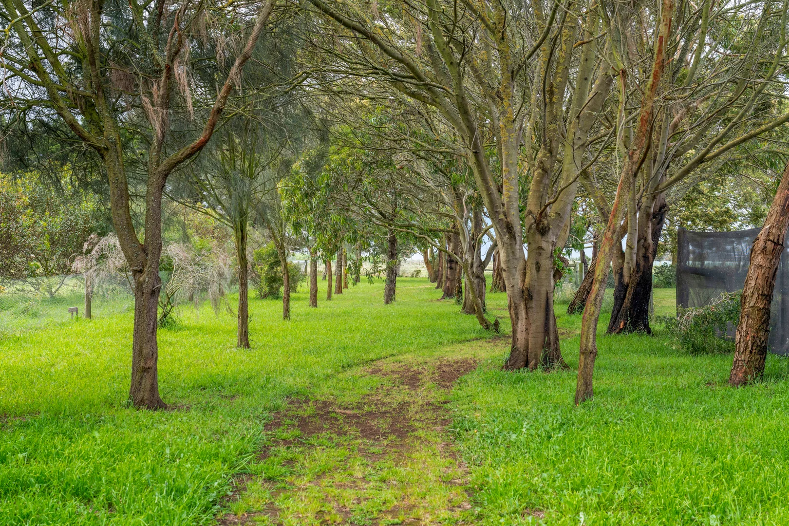 Additional image 35 of 21 Tuddys Lane, Southern Cross VIC 3283
