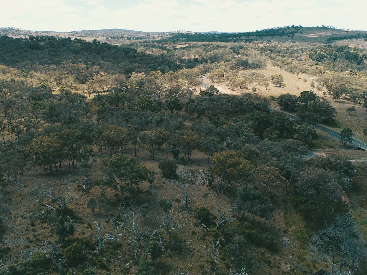Additional image 12 of Lot 2 Stanthorpe Texas Road, Stanthorpe QLD 4380