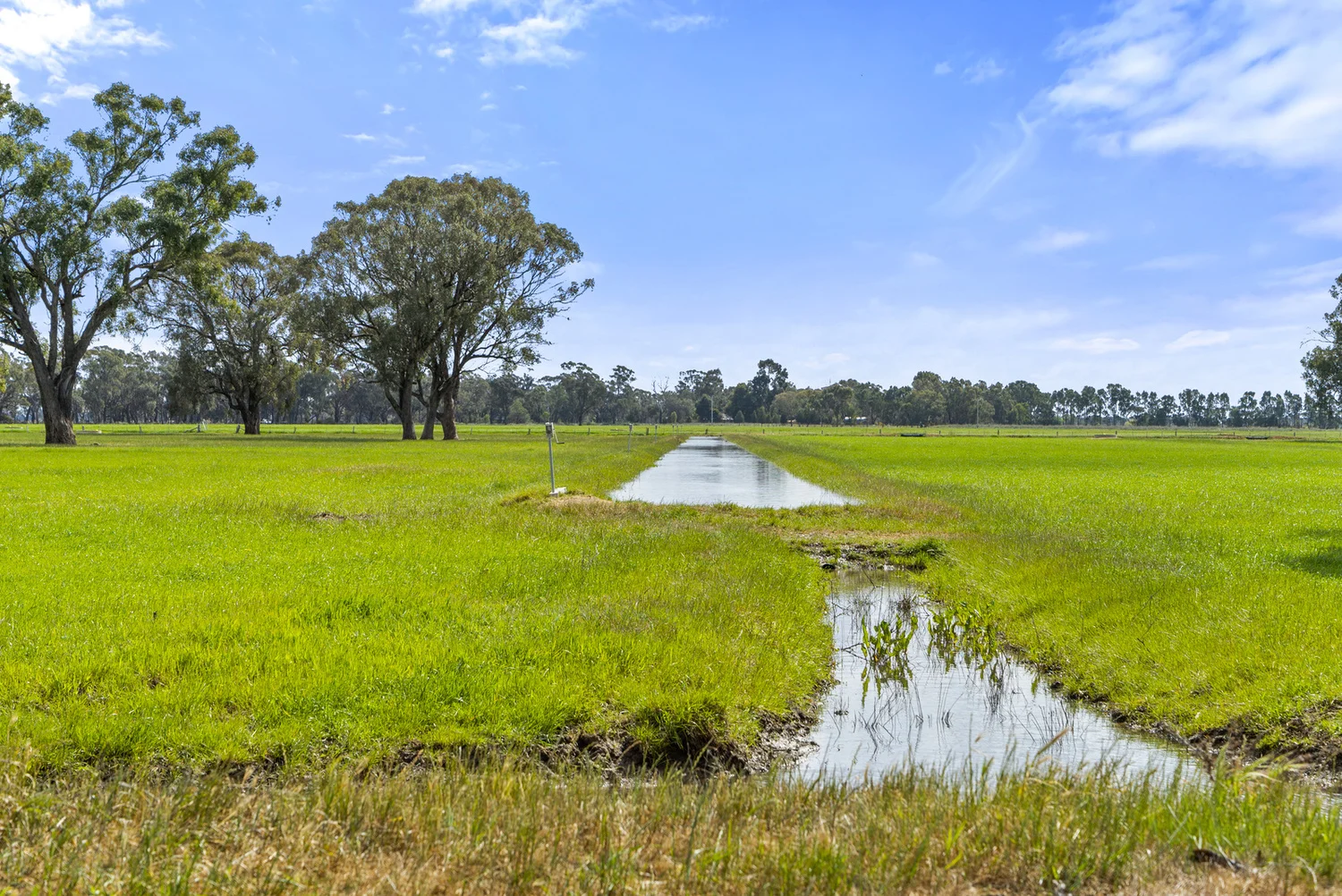 Additional image 33 of 2896 Murray Valley Highway, Yielima VIC 3638