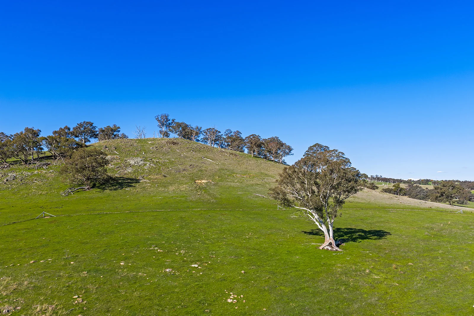 Additional image 14 of 1432 Lachlan Valley Way, Laverstock NSW 2582