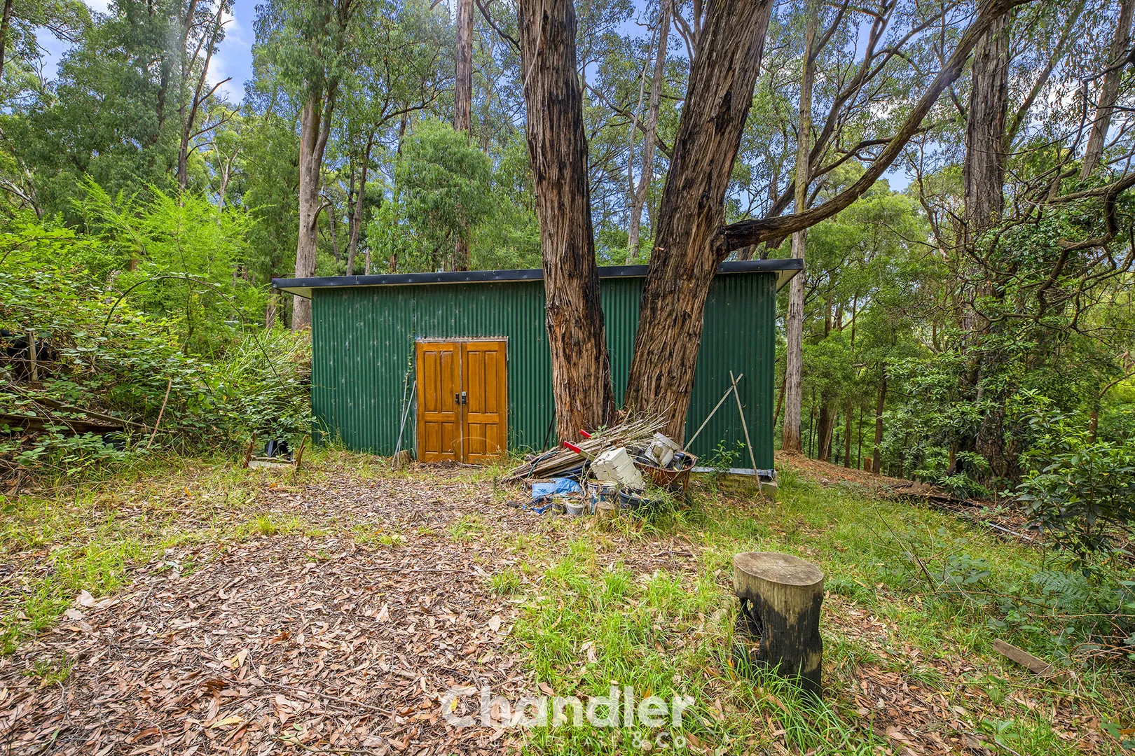 Additional image 5 of 75 Priors Road, The Patch VIC 3792