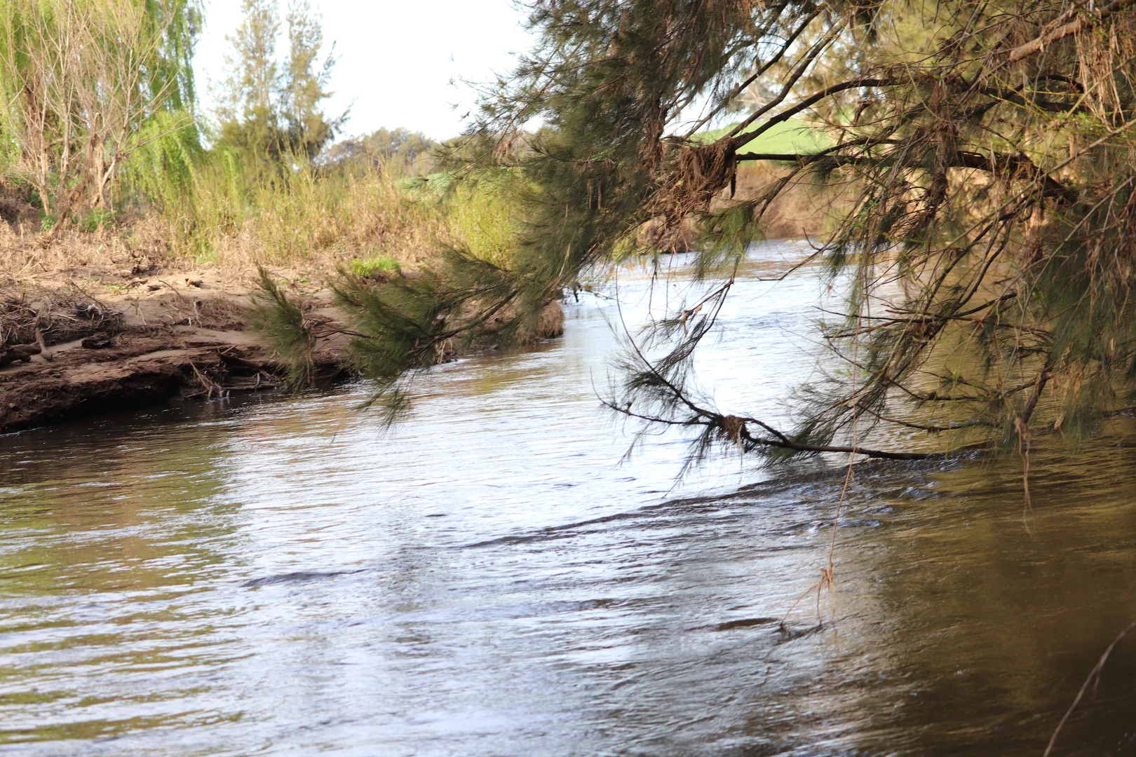 Additional image 3 of 2350 George Russell Drive, Canowindra NSW 2804