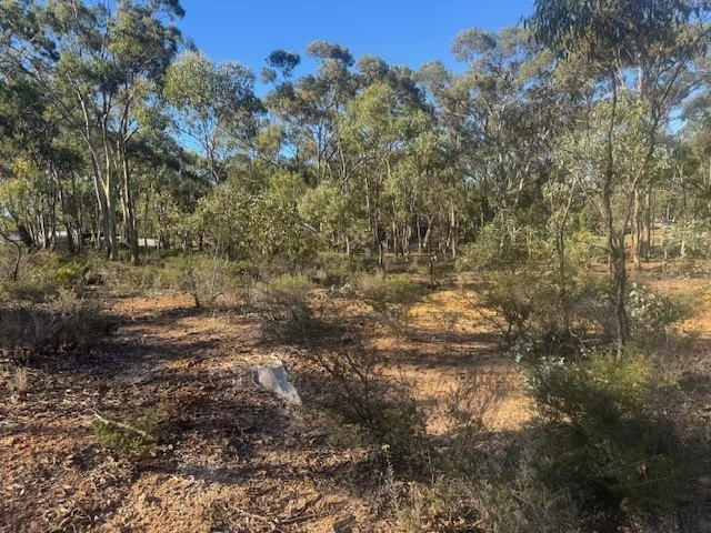 Additional image 2 of 2-20 Godfrey Street, Wedderburn VIC 3518