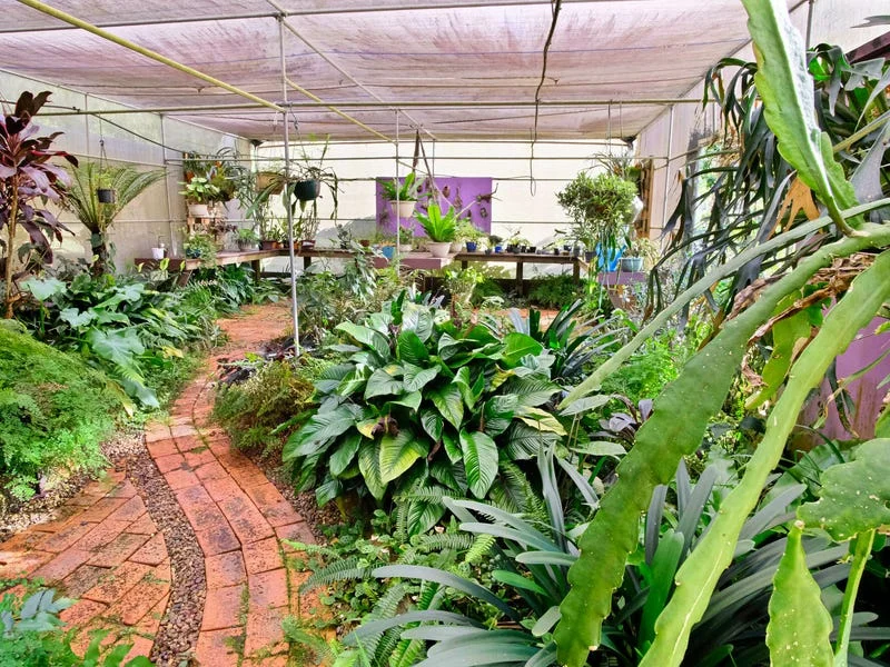 Additional image 26 of 14 Sheltie Pl, Nabiac NSW 2312