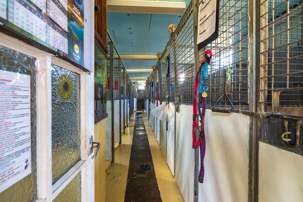 Additional image 8 of Bauds Pet Care and Garden Centre, Woodhead Bauds, Buckie, AB56 4DY