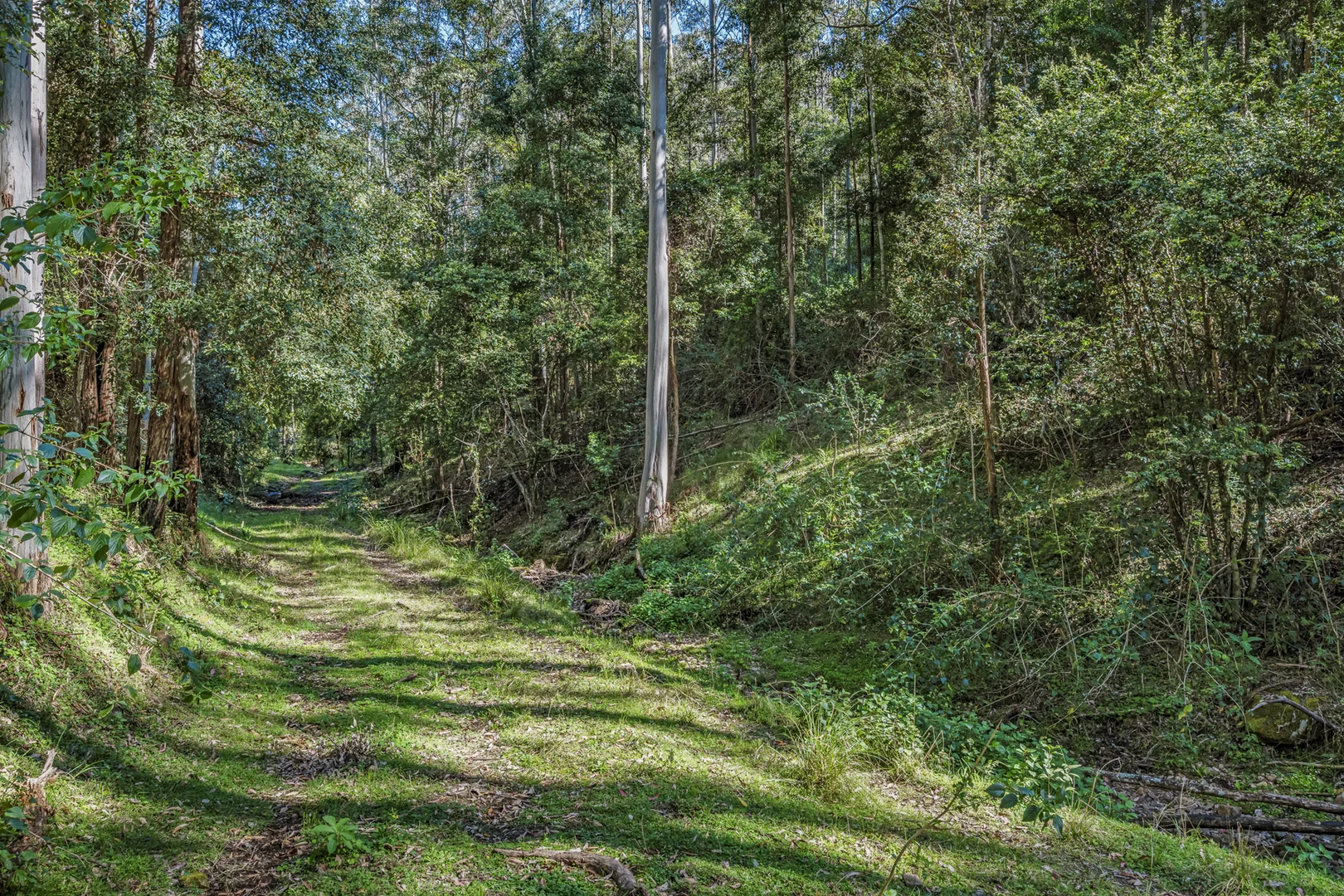 Additional image 20 of 345 Glen Road, Craven NSW 2422