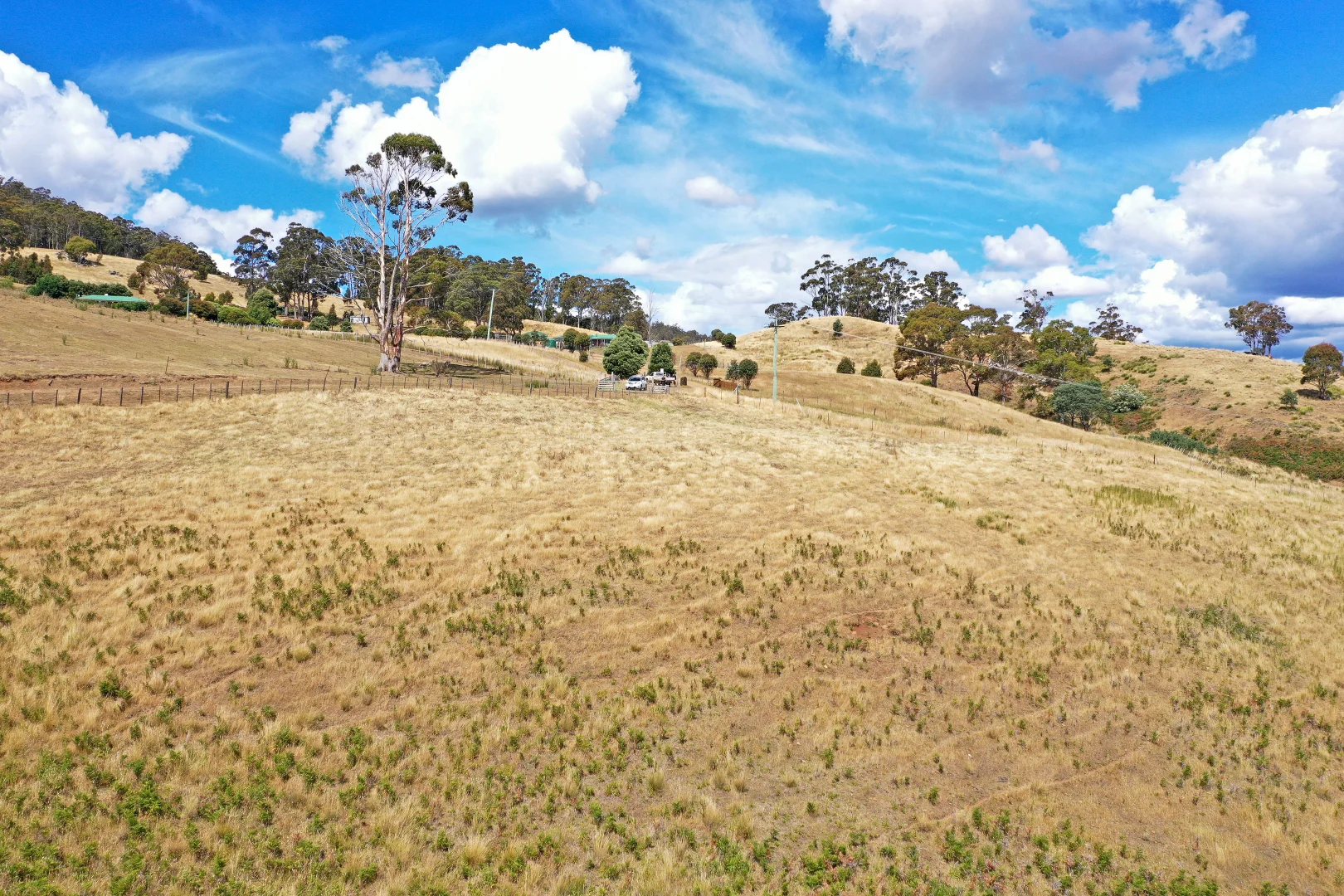 Additional image 10 of 17 Garth Lane, Black Hills TAS 7140