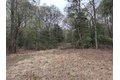 Additional image 31 of Old Bradley Rd, Mardela Springs, MD, 21837