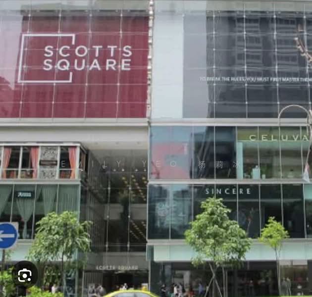 6 Scotts Road photo 3