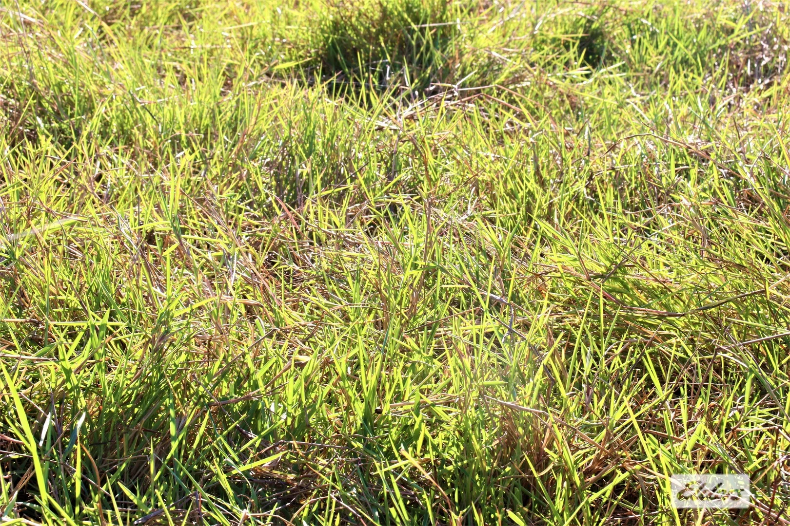 Additional image 23 of 965 Strickland Road, Adelaide River NT 0846