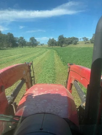 Additional image 4 of 2350 George Russell Drive, Canowindra NSW 2804