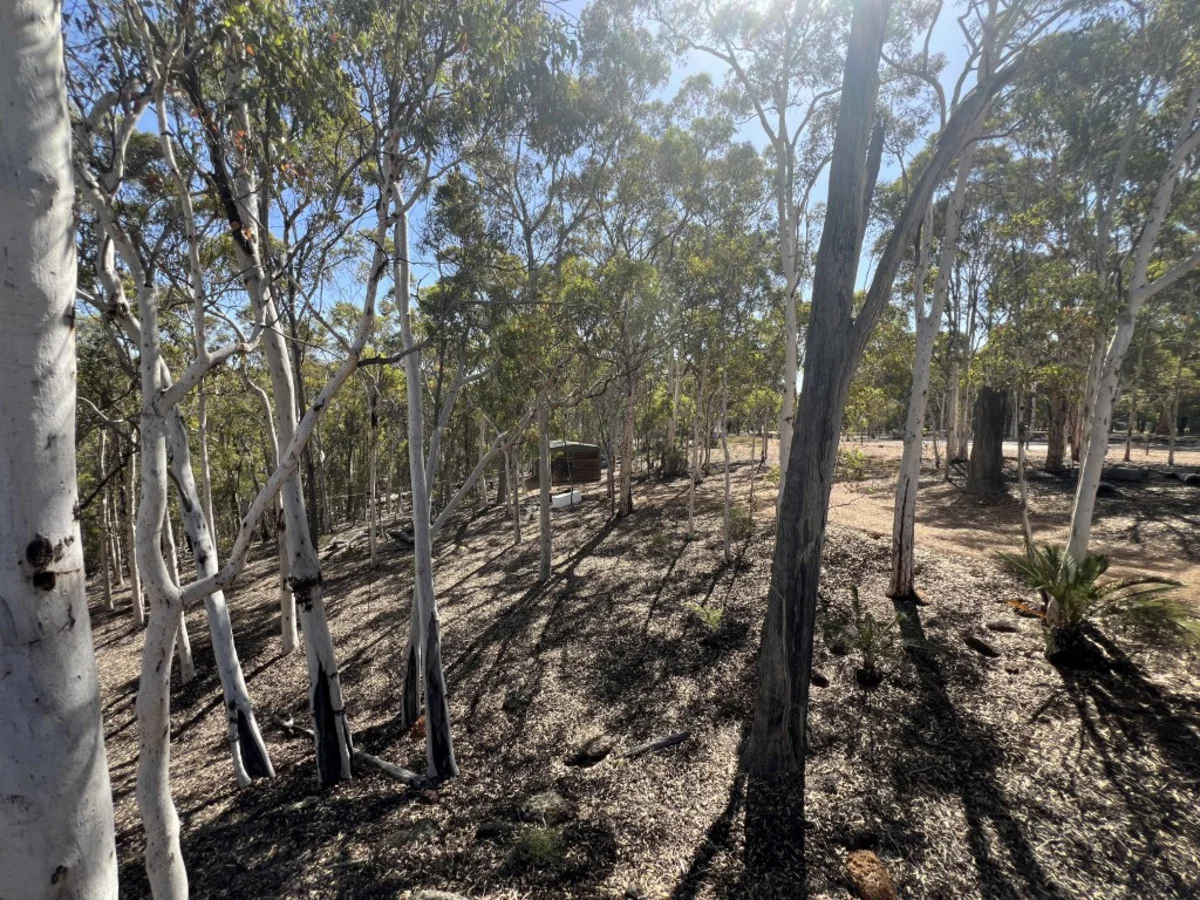 Additional image 32 of 59 White Gum Ridge, Coondle WA 6566