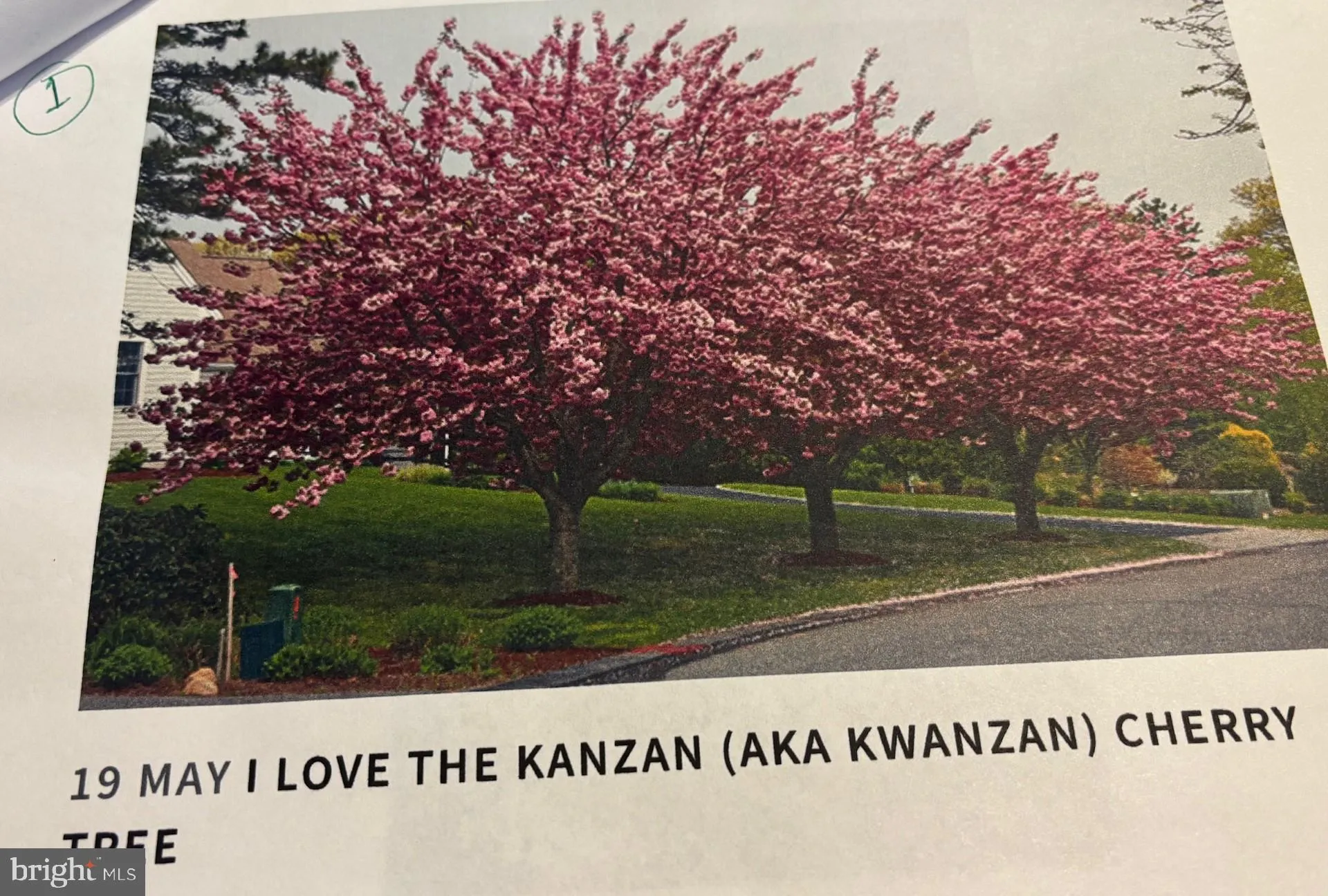 Additional image 128 of 6 Bradley Circle, Middletown, DE 19709