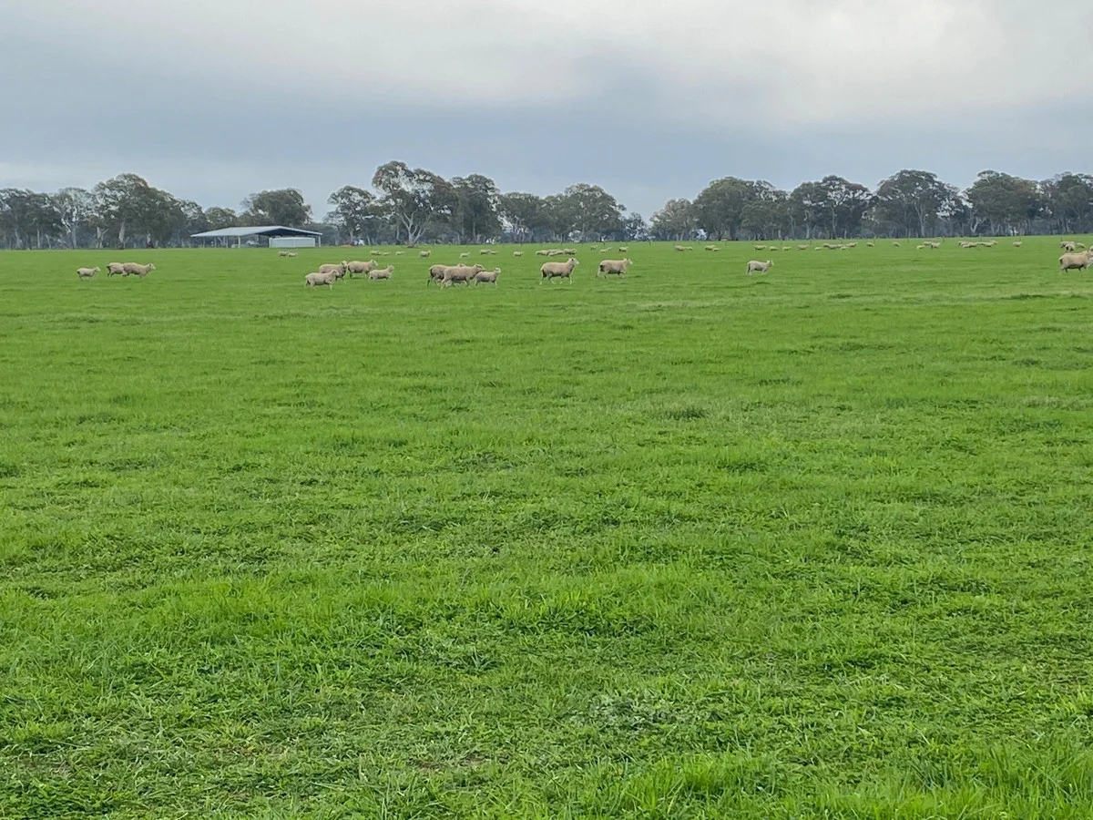 Additional image 12 of 813 Yarramyljup Road, Rocklands VIC 3401