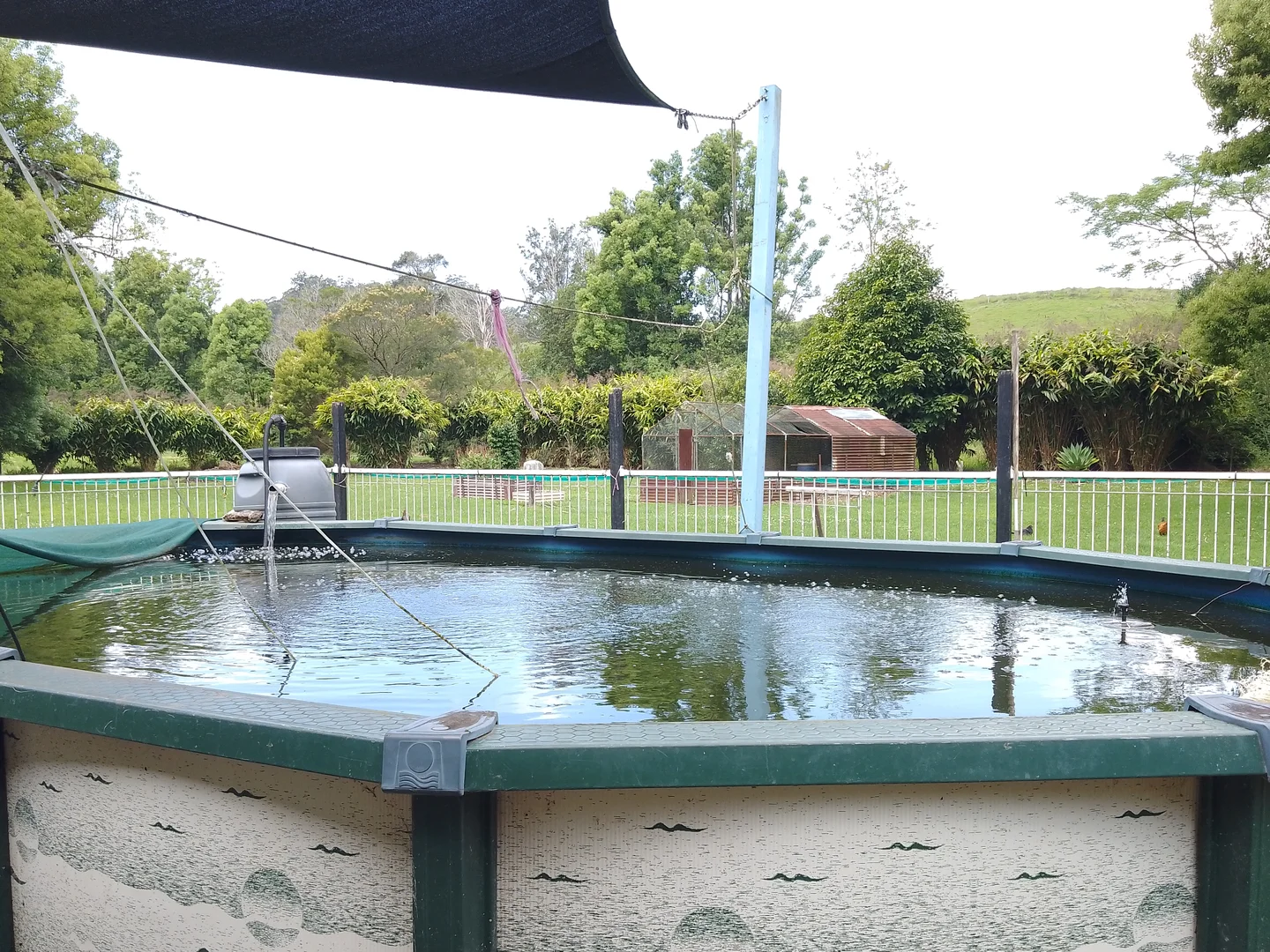 Additional image 25 of 538 Missabotti Road, Missabotti NSW 2449