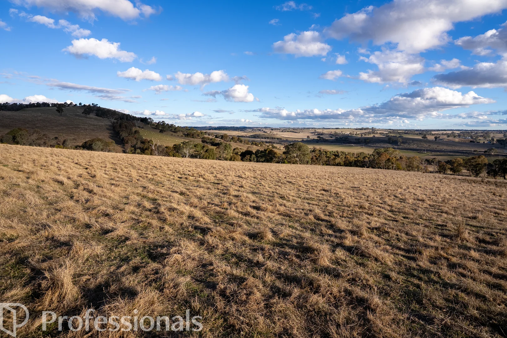 Additional image 8 of 174 Emu Swamp Road, Orange NSW 2800