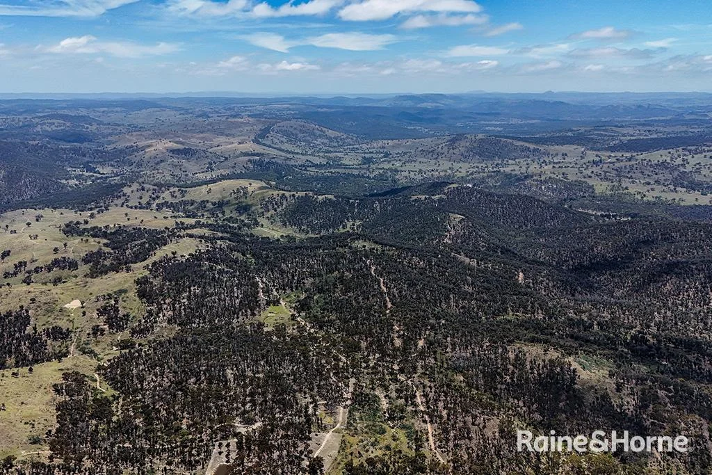 Additional image 29 of 260 & 262 Alpha Road, Tambaroora NSW 2850