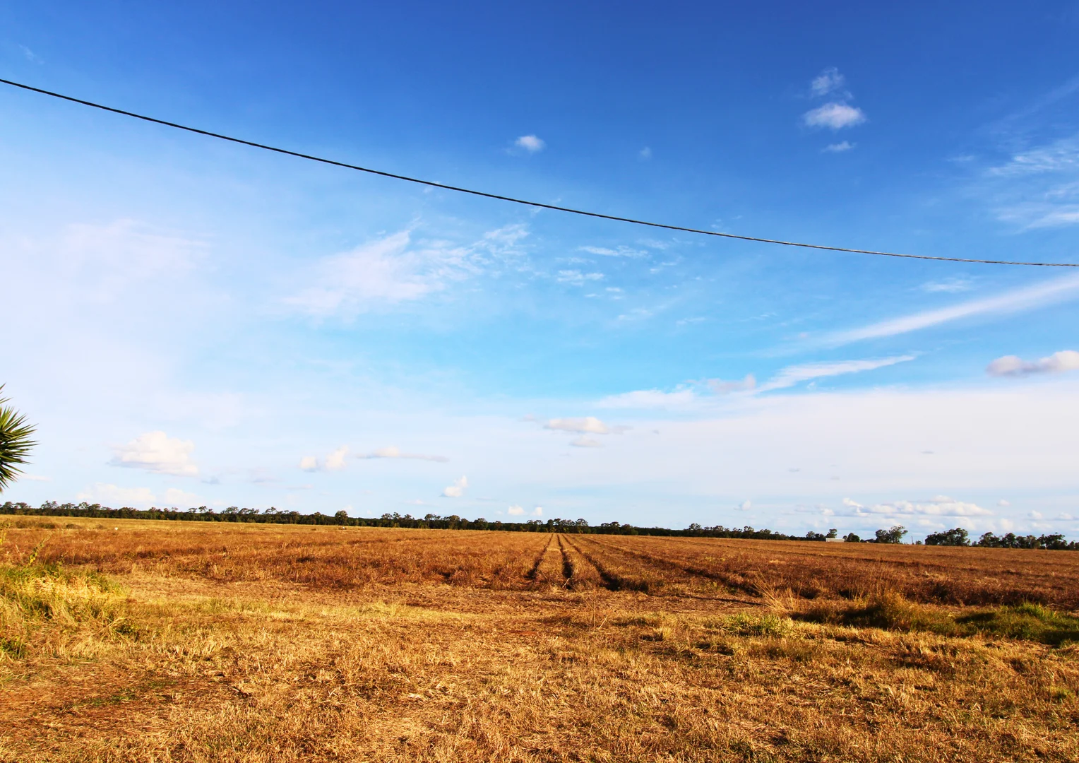 Additional image 11 of 4174 Goodwood Road, Alloway QLD 4670