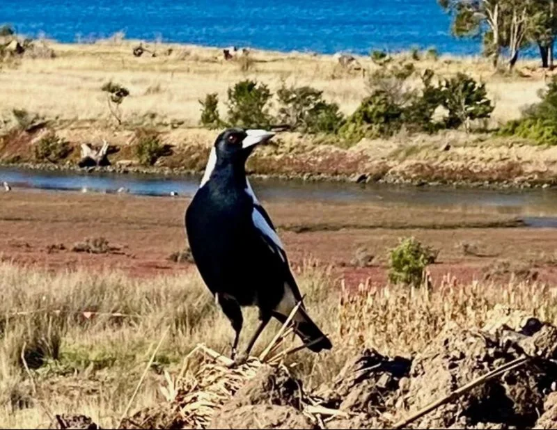 Additional image 14 of 10 Enchantress Street, Rokeby TAS 7019