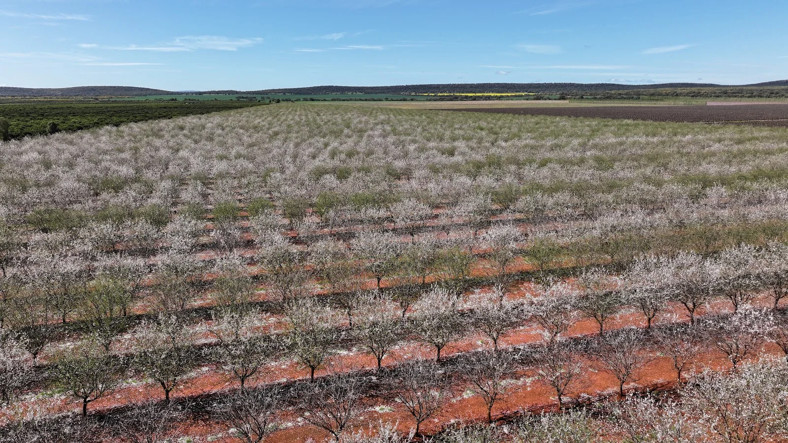 Additional image 13 of 226 & 276 New Farms Road, Nericon NSW 2680