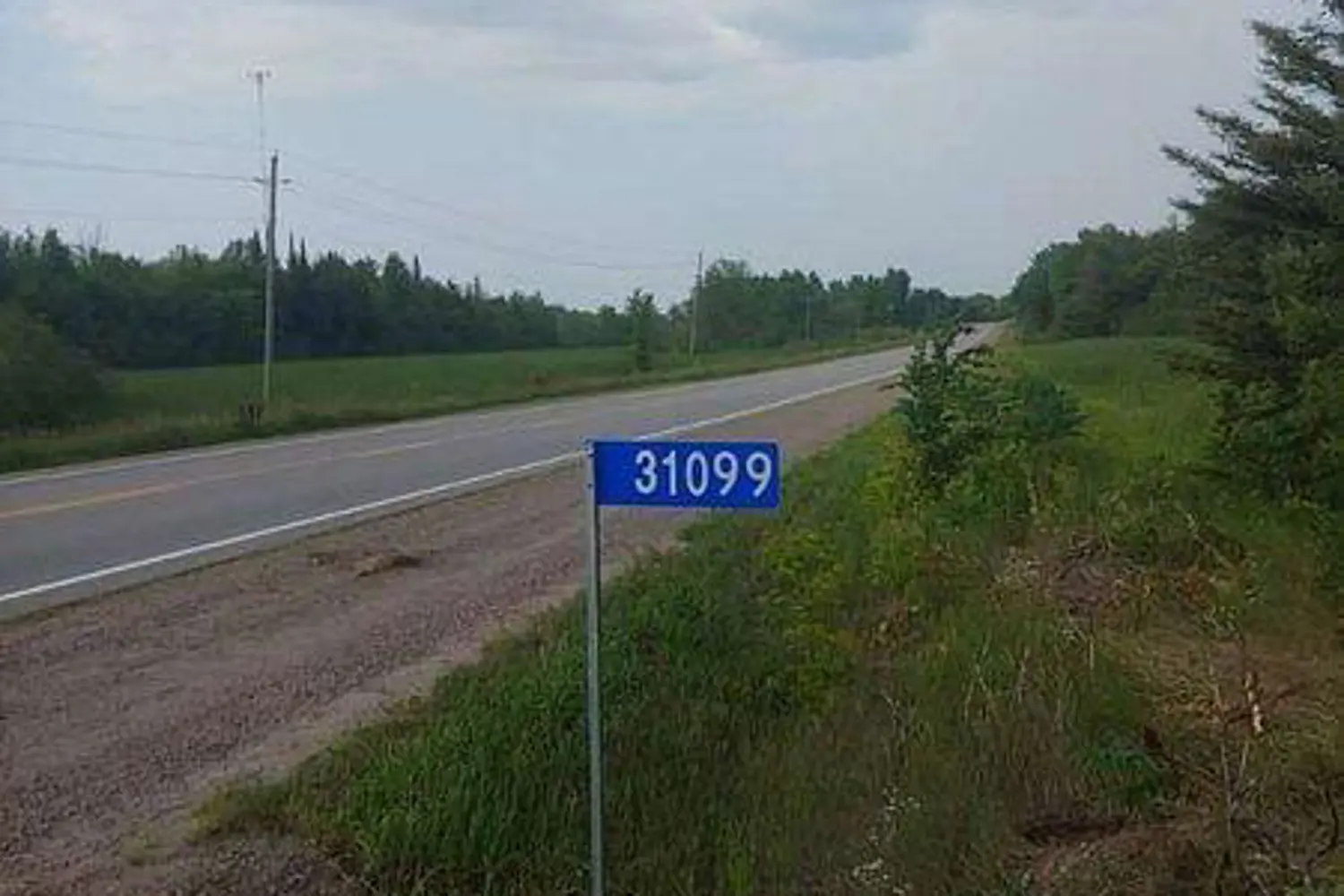 31099 Highway 7 photo 4
