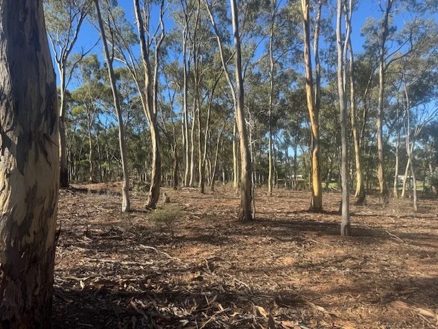 Additional image 7 of 2-20 Godfrey Street, Wedderburn VIC 3518