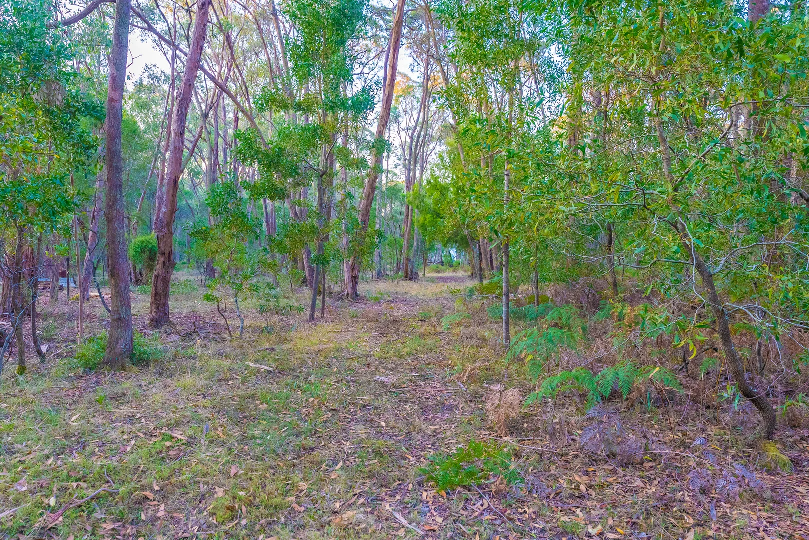 Additional image 10 of Lot 5 Howlett Road, Ross Creek VIC 3351