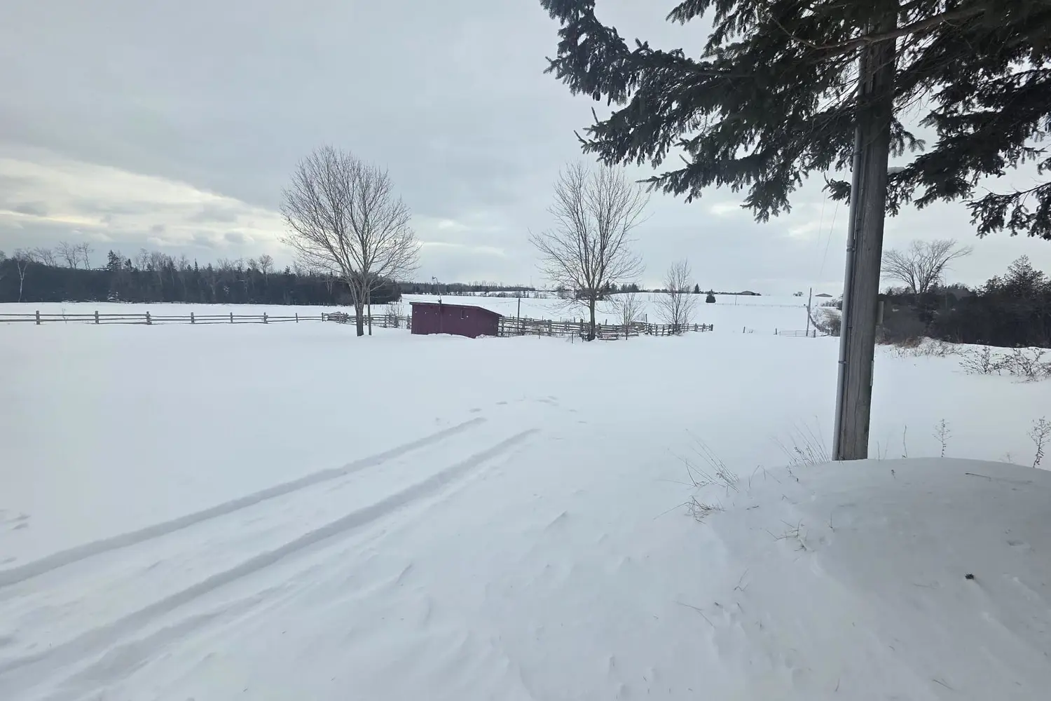 Additional image 11 of 36 Sugar Bush Road