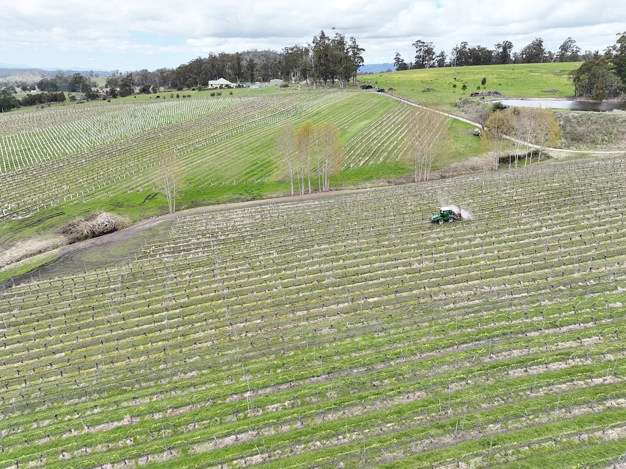 Additional image 15 of 103 Glendale Road, Sidmouth TAS 7270