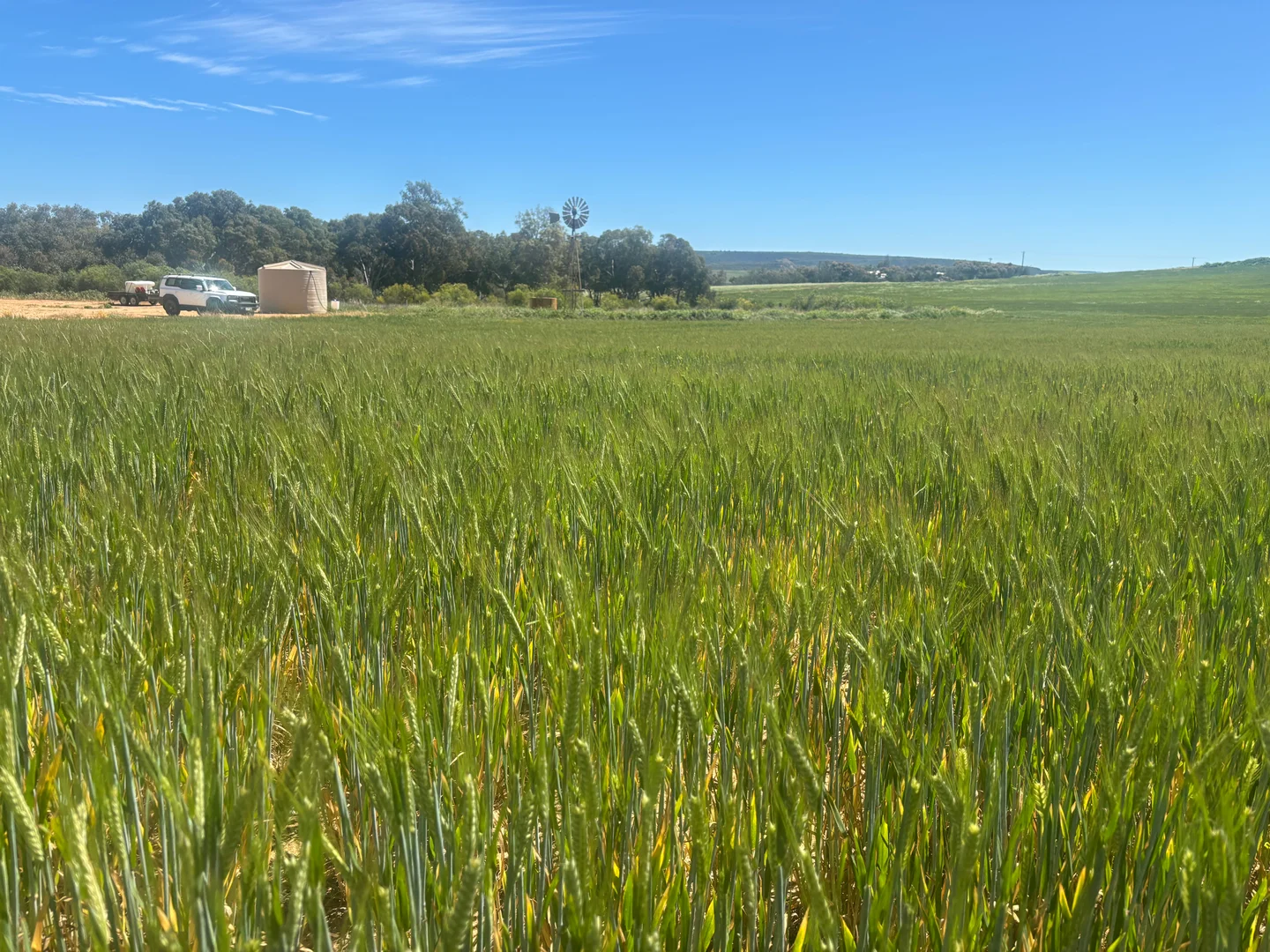 Additional image 7 of 9500 Chapman Valley Road, Narra Tarra WA 6532