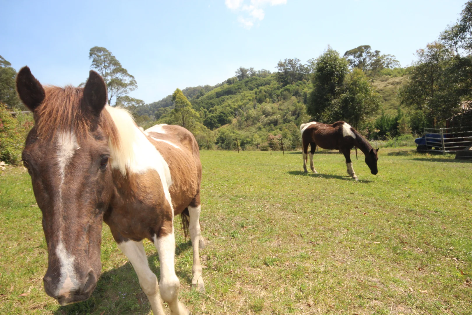 Additional image 28 of 1085 Pappinbarra Road, Lower Pappinbarra NSW 2446