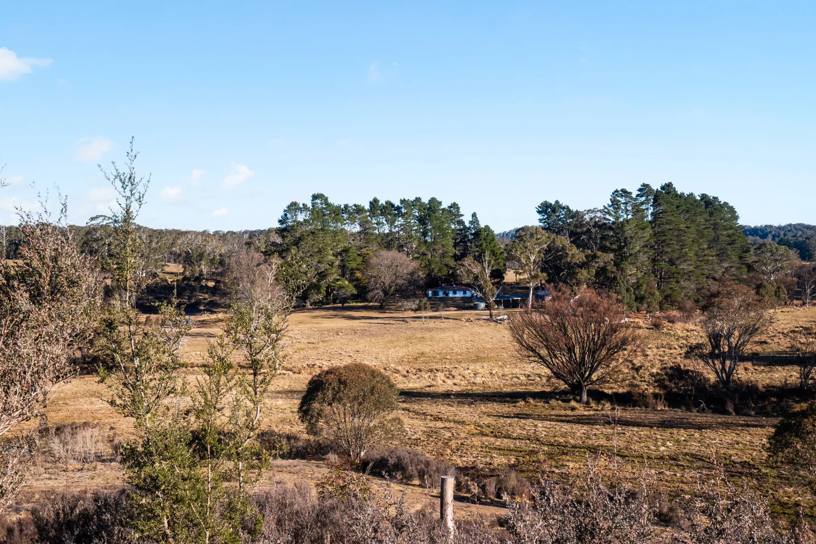 Additional image 20 of 1974 Tuross Road, Kybeyan NSW 2631