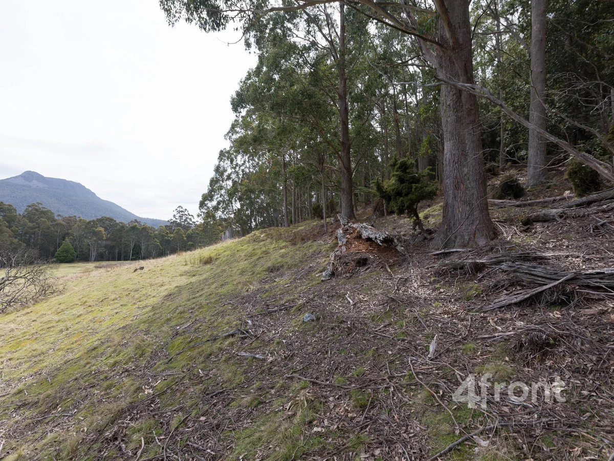 Additional image 24 of 1 and 2/141 Tiers View Road, Golden Valley TAS 7304