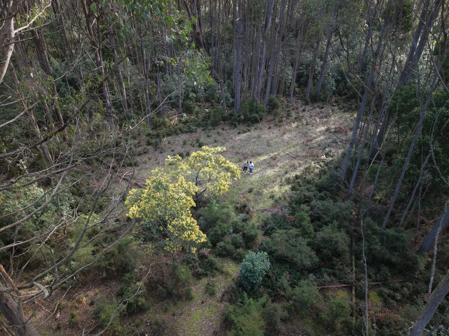 Additional image 3 of Lot 1 Mountains Road, Cherokee VIC 3434