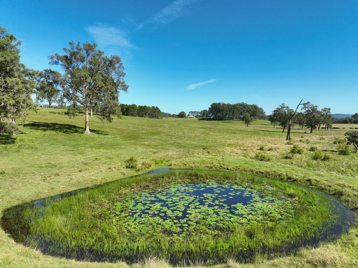 Additional image 6 of 200 Dobies Bight Road,, Dobies Bight NSW 2470