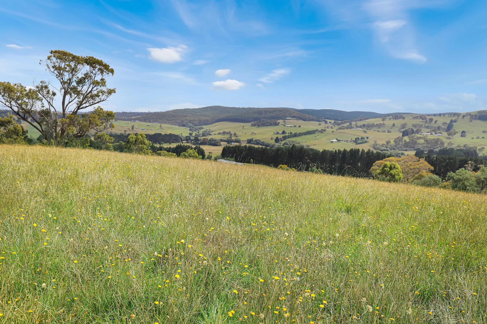 Additional image 5 of 43 Wilson Drive, Oberon NSW 2787