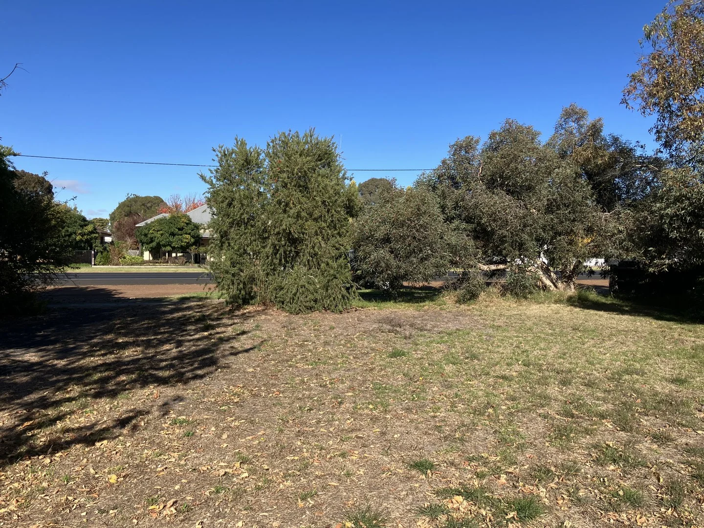 Additional image 3 of Proposed 144 Elizabeth Street, Edenhope VIC 3318